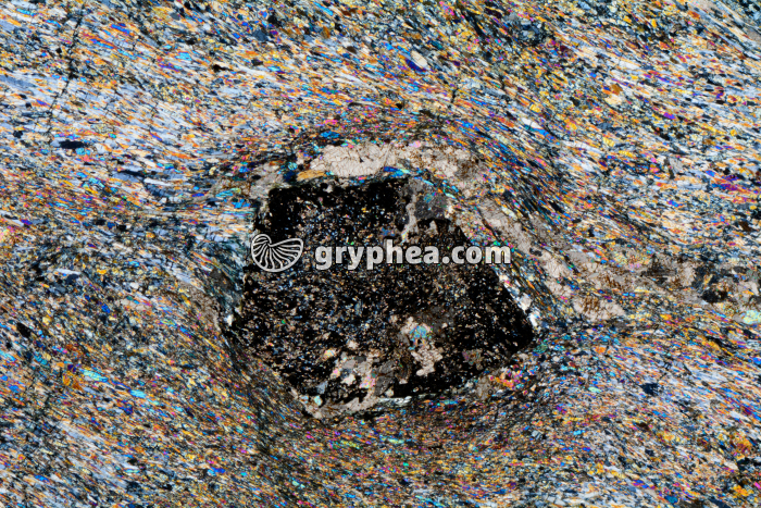 Schiste à grenats et glaucophane LPA x3,5 - gryphea.com